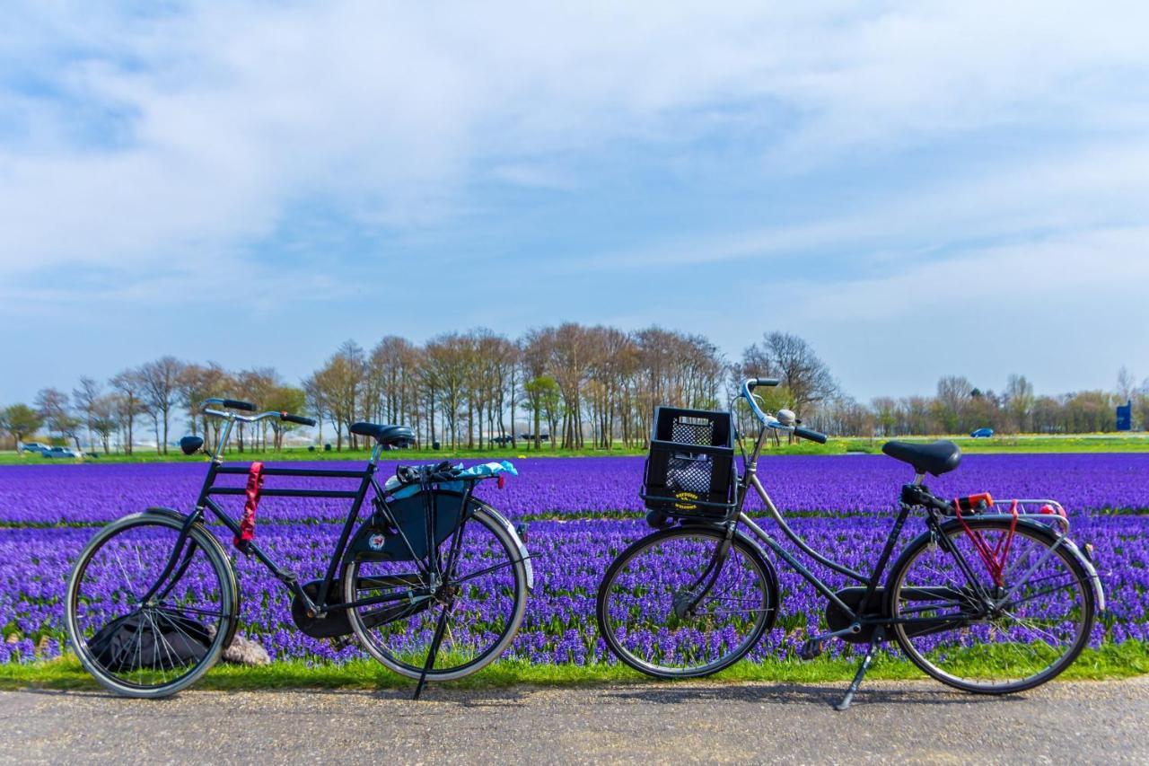Bed and Breakfast Slapen Bij De Buurvrouw Castricum Esterno foto